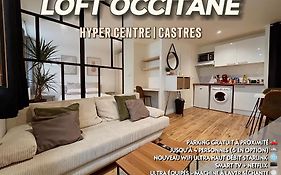 Loft Occitane Hyper Centre Castres